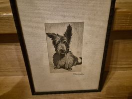 Antike Radierung "Rauverein", Terrier, signiert, alt!