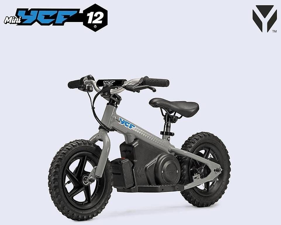 Veicoli per bambini: Draisienne électrique Ycf  12" – Nuovo e nell'imballaggio originale da les verrières venduto da Lewydo 1