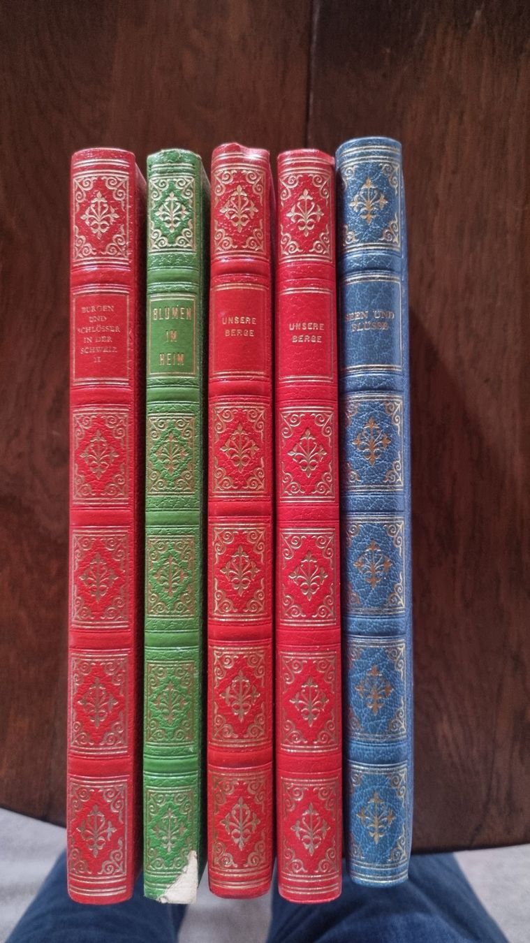 Livres: 5 dekorative, ledergebundene Schweizer Heimatbände – D'occasion à Malters par mat_6102 1