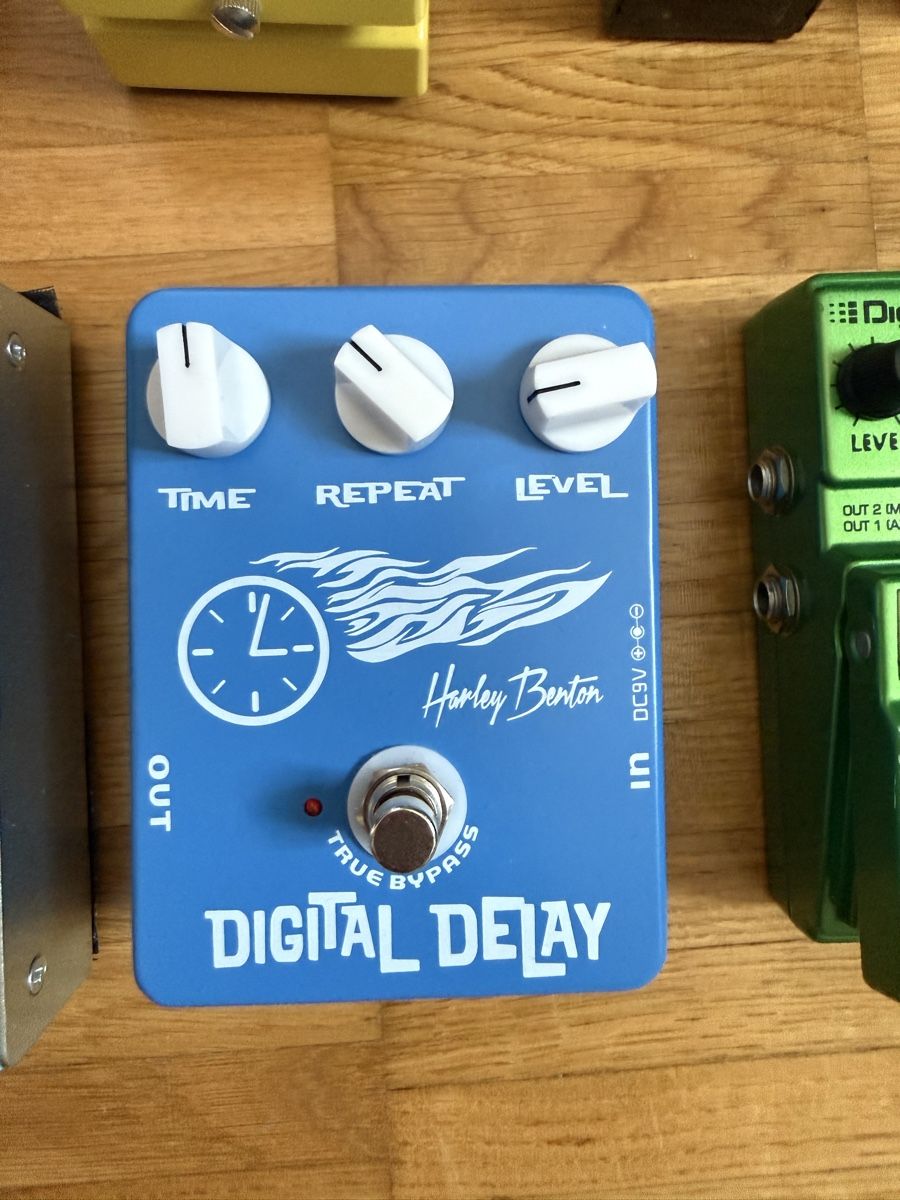 Harley Benton Strumenti musicali: Harley Benton Digital Delay – Usato da Watt venduto da flavio_1996