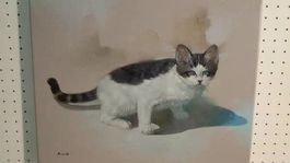 Busdee "Katze" Gemälde Original