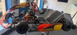 CRG ROAD REBEL KZ 10c PREPARATO VITI