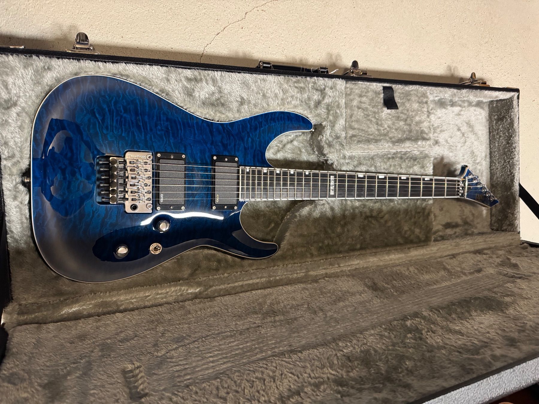 Strumenti musicali: ESP Horizon Standard Edition – Usato da Pfäffikon ZH venduto da MM8619 1