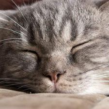 Profile image of Katerino