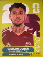 Panini QAT17
