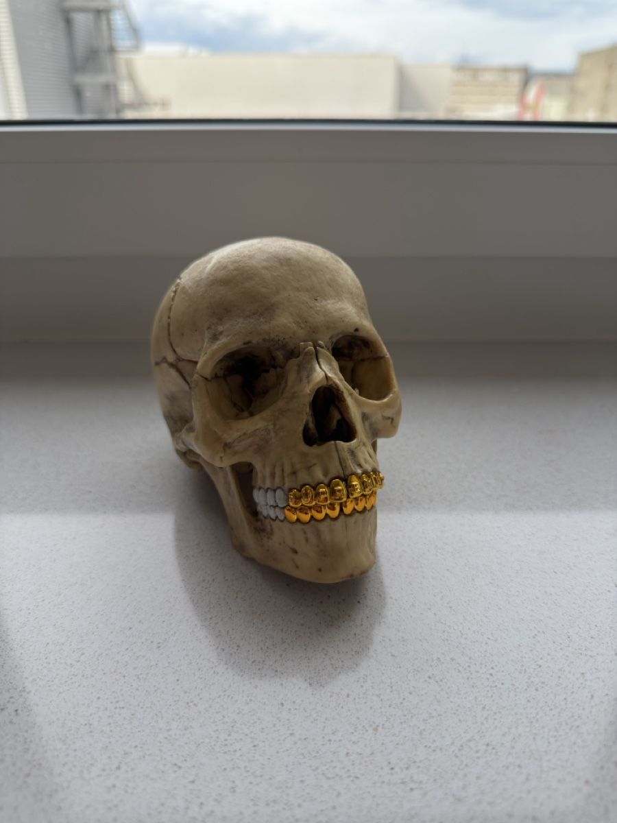 Statuette: Supreme x 4D Master Skull  – Nuovo (secondo la descrizione) da Muttenz venduto da rvo_g7rs 2