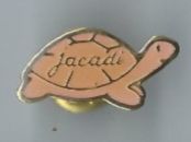 Placchette & Badge: Jacadischildkröte Pin – Usato da Zürich venduto da t24_de
