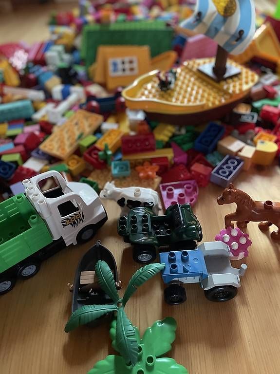 Baukästen: Grande lotto Lego Duplo – Gebraucht aus Quinto von coc_wqw7