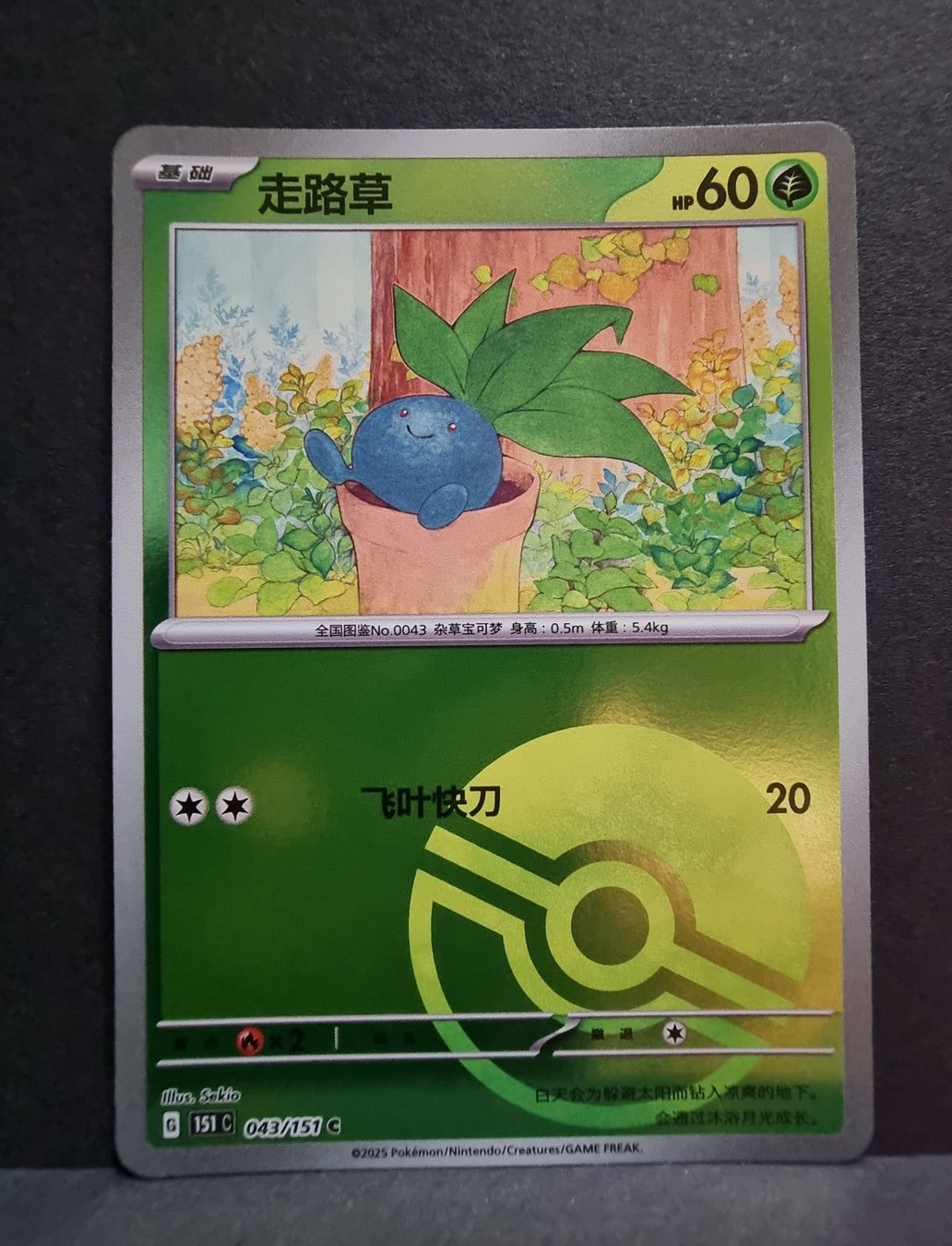Pokémon Carte collezionabili: Pokémon reverse Holo 8 Karten siehe Bilder- 151c – Nuovo (secondo la descrizione) da Roggwil BE venduto da S_Cards 4