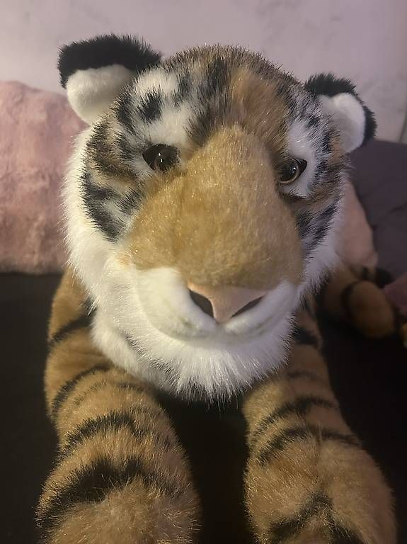 Spielzeuge: Kuscheltier Grosskatzen – Gebraucht aus Reinach BL von day_b5dr 3