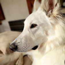 Profile image of MissBJ81