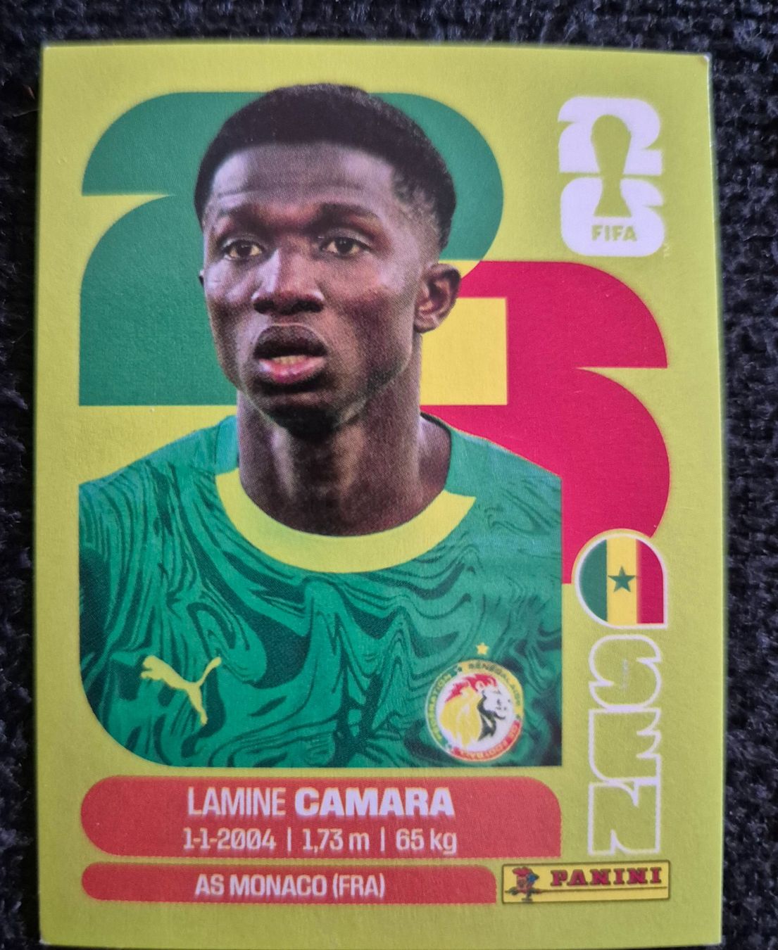 Panini Sammelbilder & Trading cards: SEN 14 Panini FIFA WM 2026 – Neu (gemäss Beschreibung) aus Riehen von tmw_c29m