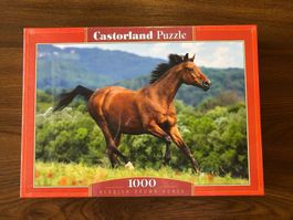 Puzzle 1000 Teile