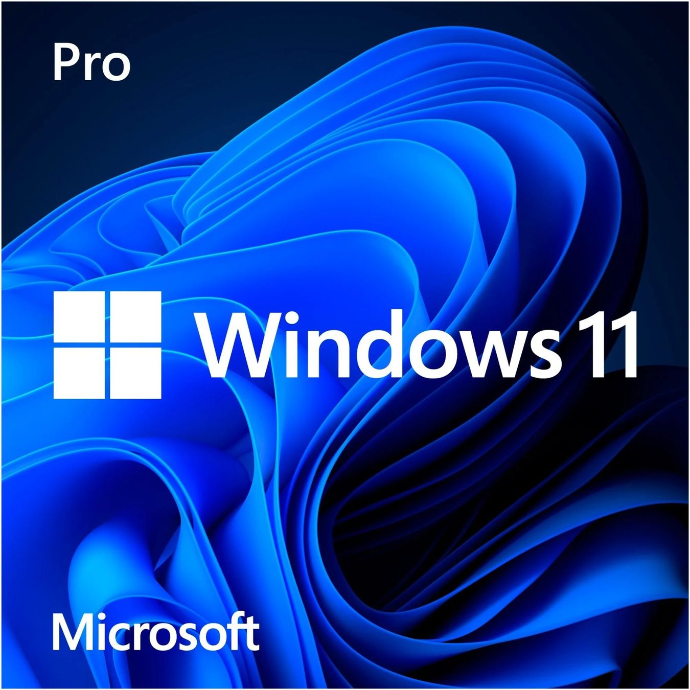 Microsoft Software: Windows 11 Pro 64Bit Original Key – Nuovo e nell'imballaggio originale da Wolhusen venduto da Fabian_C
