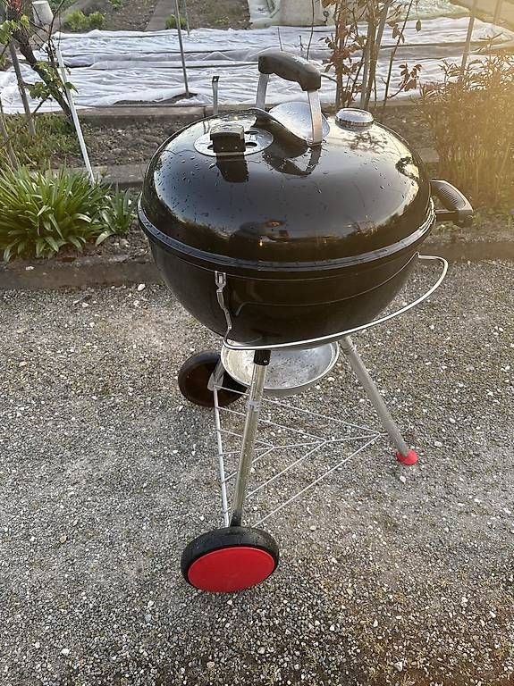 Griglie: Grill Weber – Usato da Basel venduto da meh_88mq 1