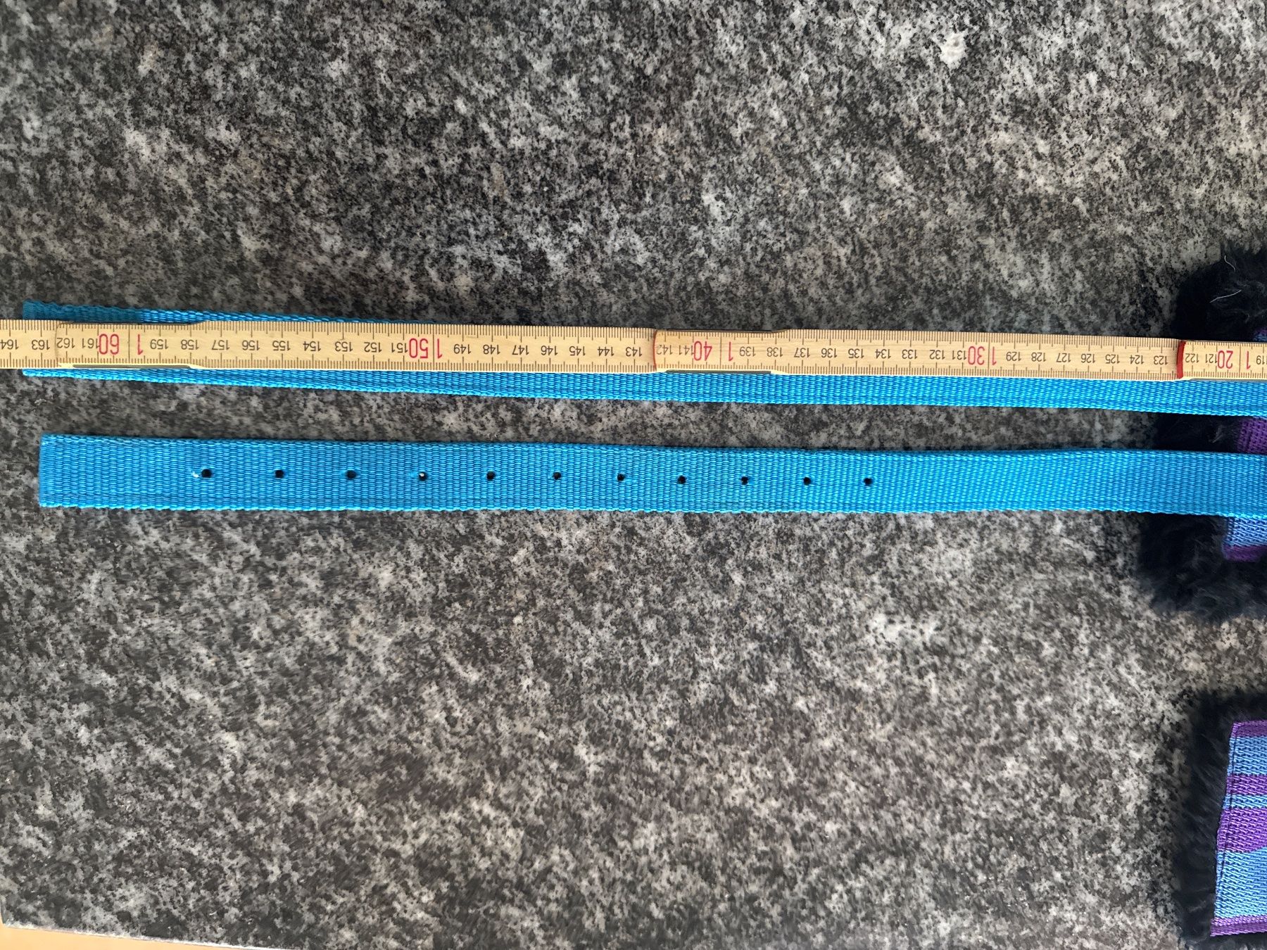 Gürtel: Longiergurt Pony, violet/blau – Gebraucht aus Elsau von CTN20 6