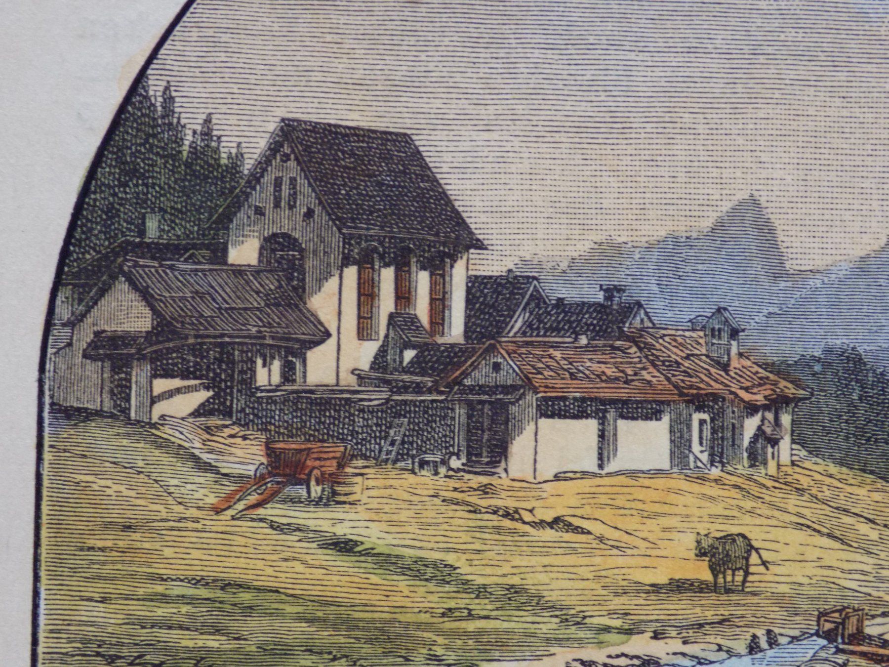 Incisioni: St.Moritz Meierei – Usato da Risch venduto da Rischli15 8
