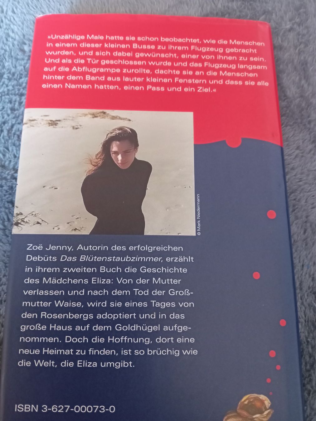Libri: Buch: Der Ruf des Muschelhorns – Usato da Witterswil venduto da hele04 1