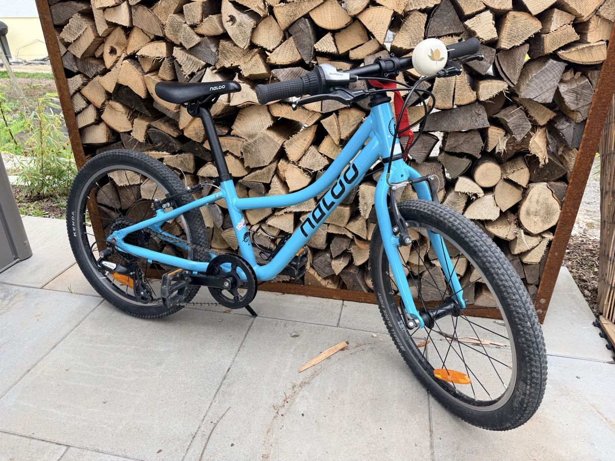 Naloo Velos: Naloo 20zoll Top Zustand! – Gebraucht aus Niederwil AG von ender_406