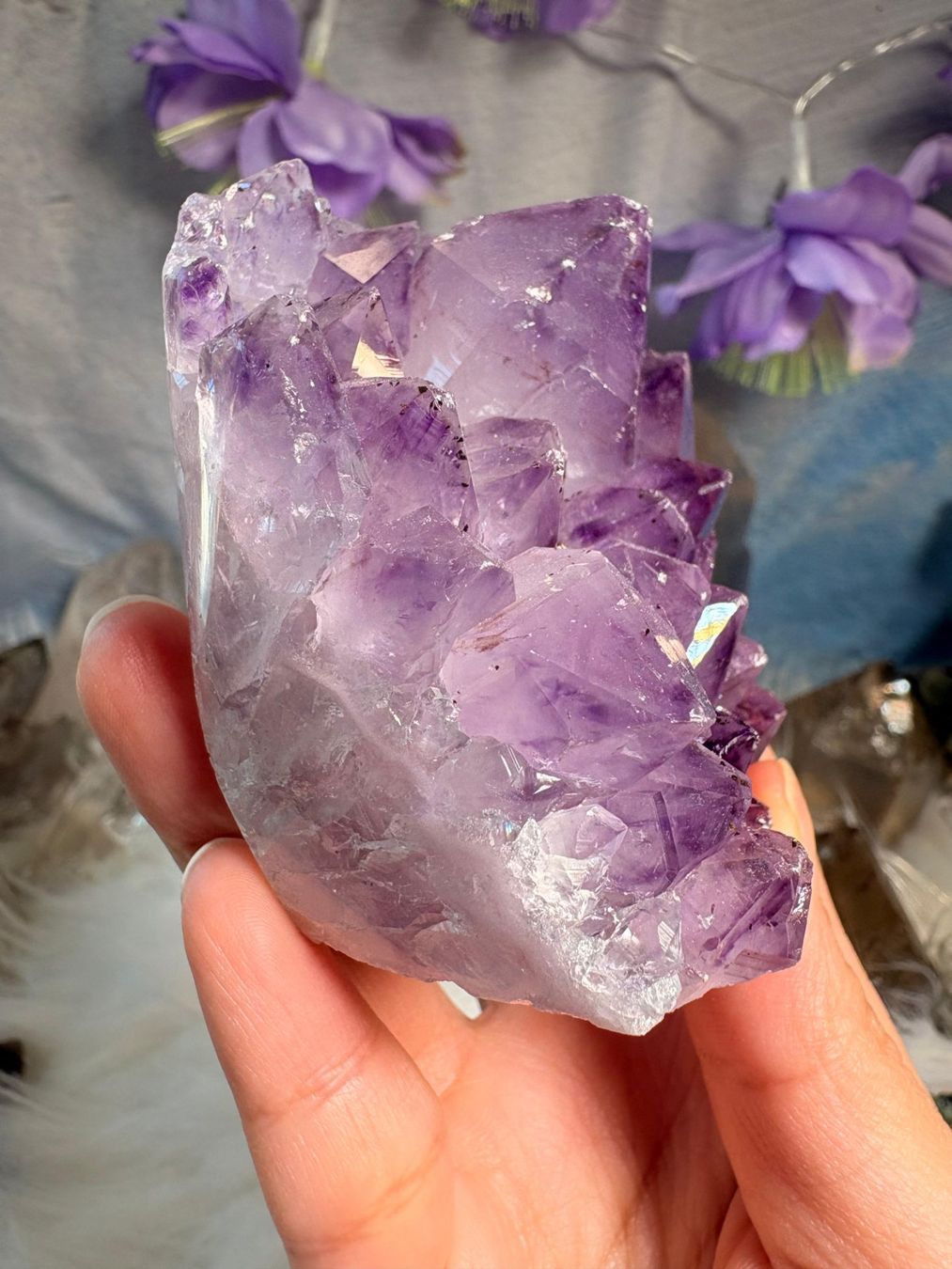 Minerali & Pietre curative: Amethyst Geode – Nuovo (secondo la descrizione) da Neuheim venduto da m.hald 6