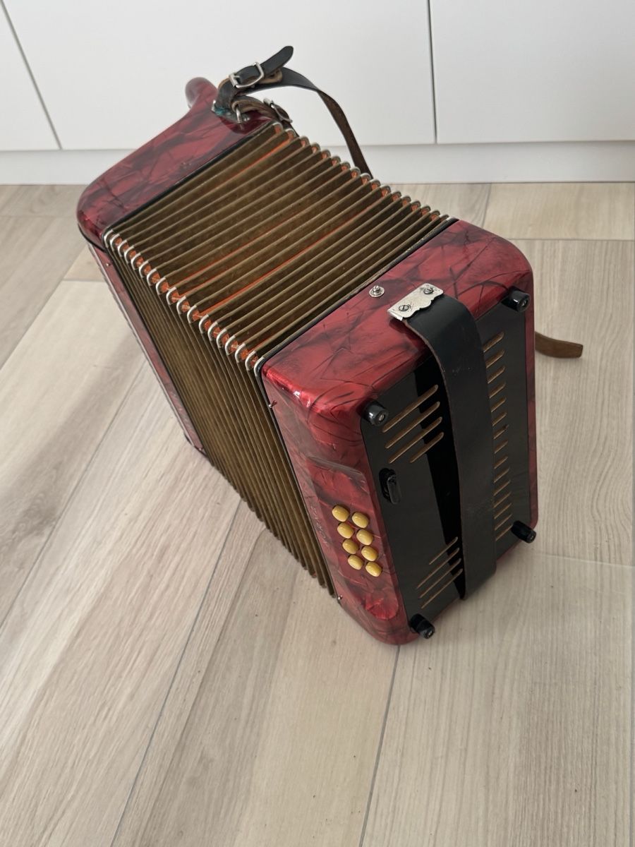 Hohner Strumenti musicali: Diatonisches Akkotdeon Hohner Norma – Usato da Neftenbach venduto da Sunnystreet 2