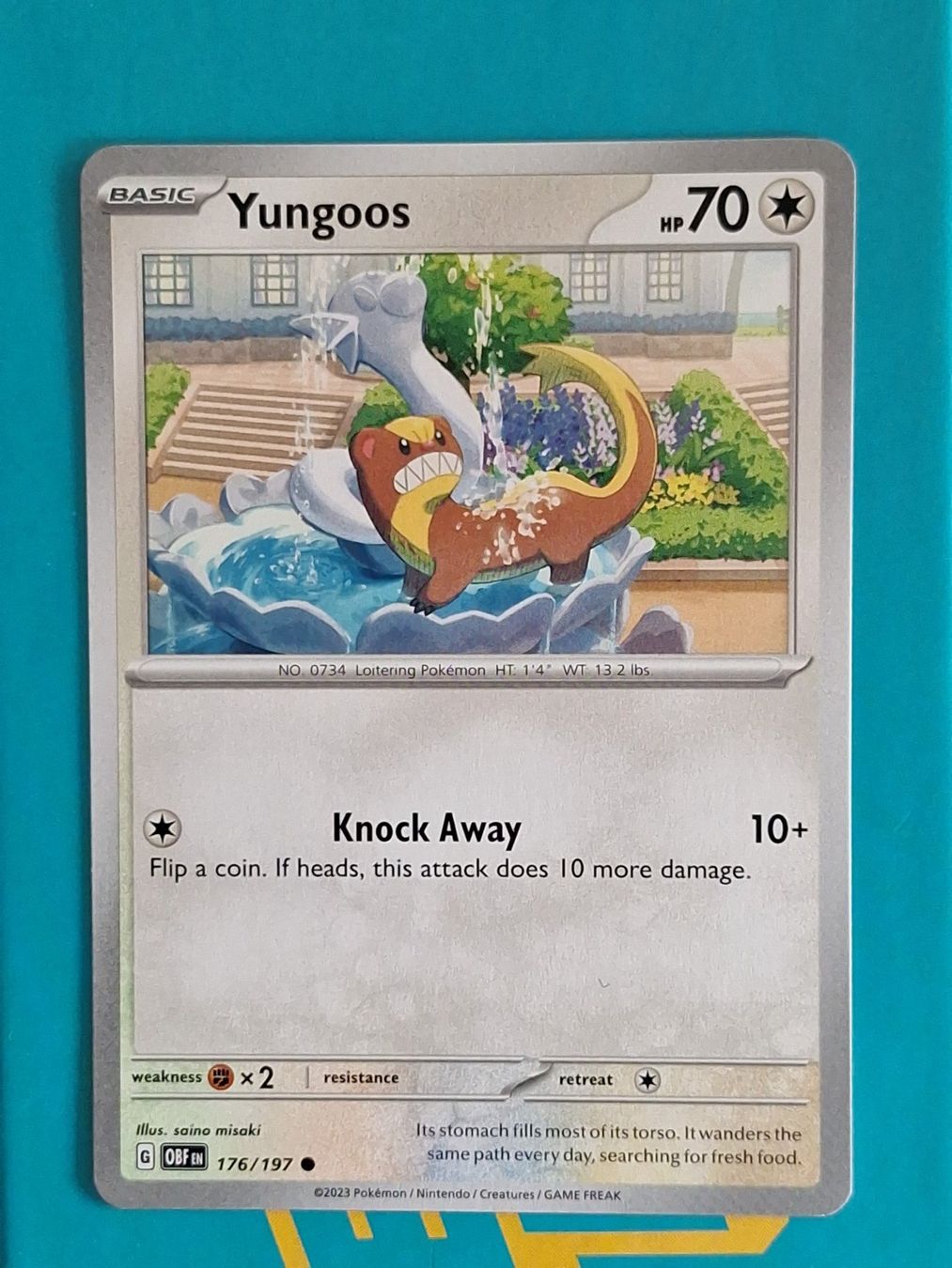 Pokémon Carte collezionabili: Yungoos - Pokemon Obsidian Flames – Usato da Altstätten SG venduto da GGsGameshop