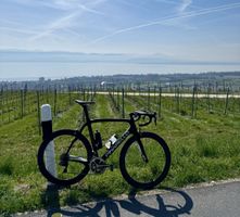 Pinarello Dogma Think 65.1 – Dura-Ace Di2