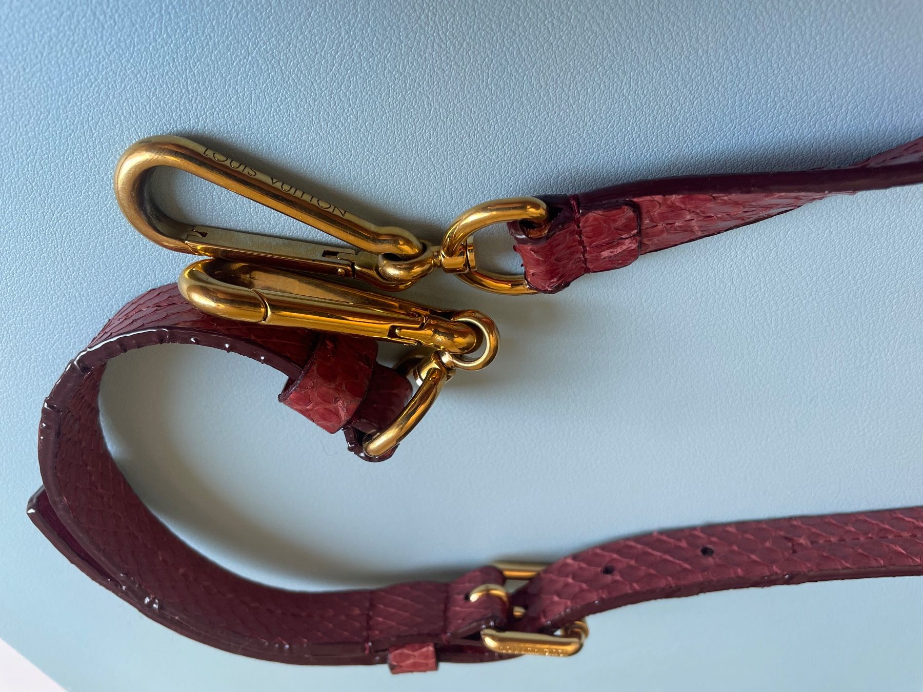 Louis Vuitton Altro in  Abbigliamento & Accessori: Louis Vuitton shoulder strap in reddish python leather – Usato da Baden venduto da ale_9jr2 3