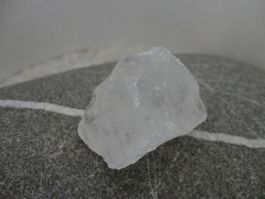 Girasol roh