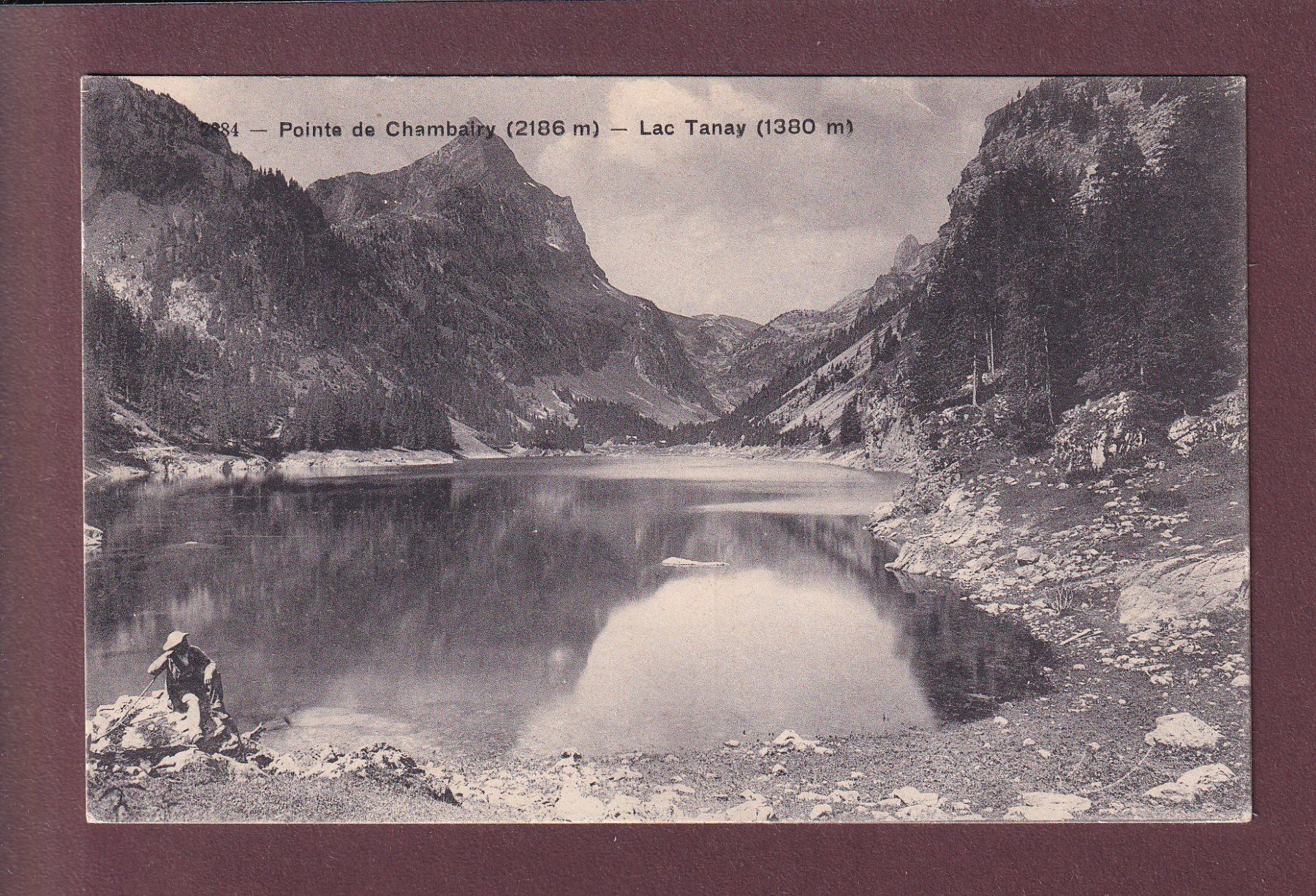 Cartoline postali: LAC TANAY - Pointe de Chambairy - 1917 – Usato da Pully venduto da nicecards