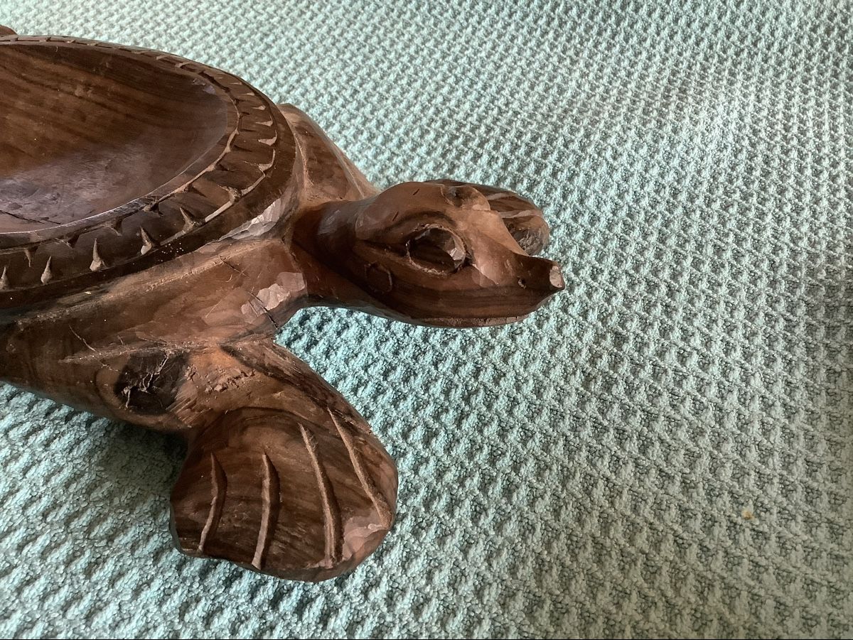 Tutte le decorazioni: Schildkröten Schale – Usato da Zürich venduto da Albatros57 3