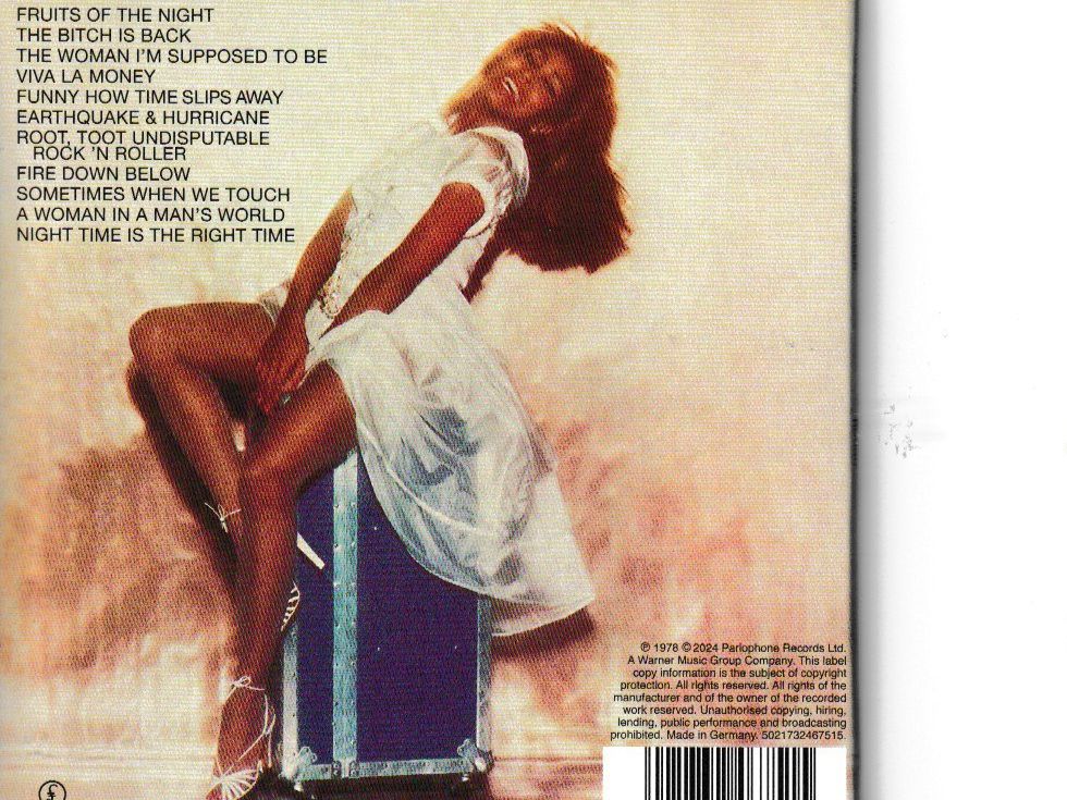 CD: Tina Turner - Rough – Usato da Chur venduto da zowie72 1