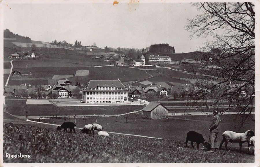 Cartoline postali: Riggisberg, Schafhirte, um 1935 – Usato da Frauenfeld venduto da POML