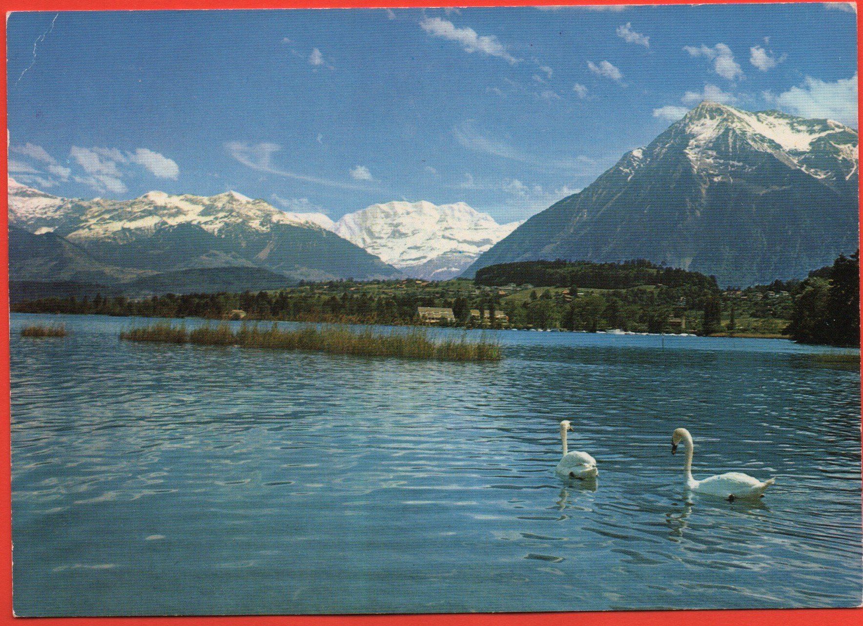 Cartes postales: THUNERSEE Blümlisalp - Niesen – Neuf (Voir description) à Jona par philajona