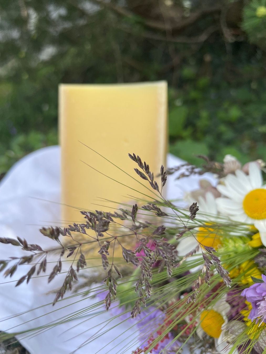 Cibi & Specialità: Berner Hobelkäse AOP 2023 – Nuovo e nell'imballaggio originale da Hasliberg-Goldern venduto da flowerbauer74