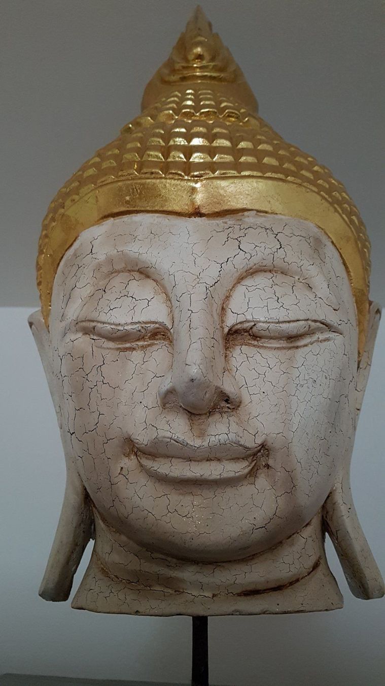 Sculture & Statue: Buddha Kopf 100% Neu – Nuovo (secondo la descrizione) da KLOTEN venduto da Luxurious-Shop