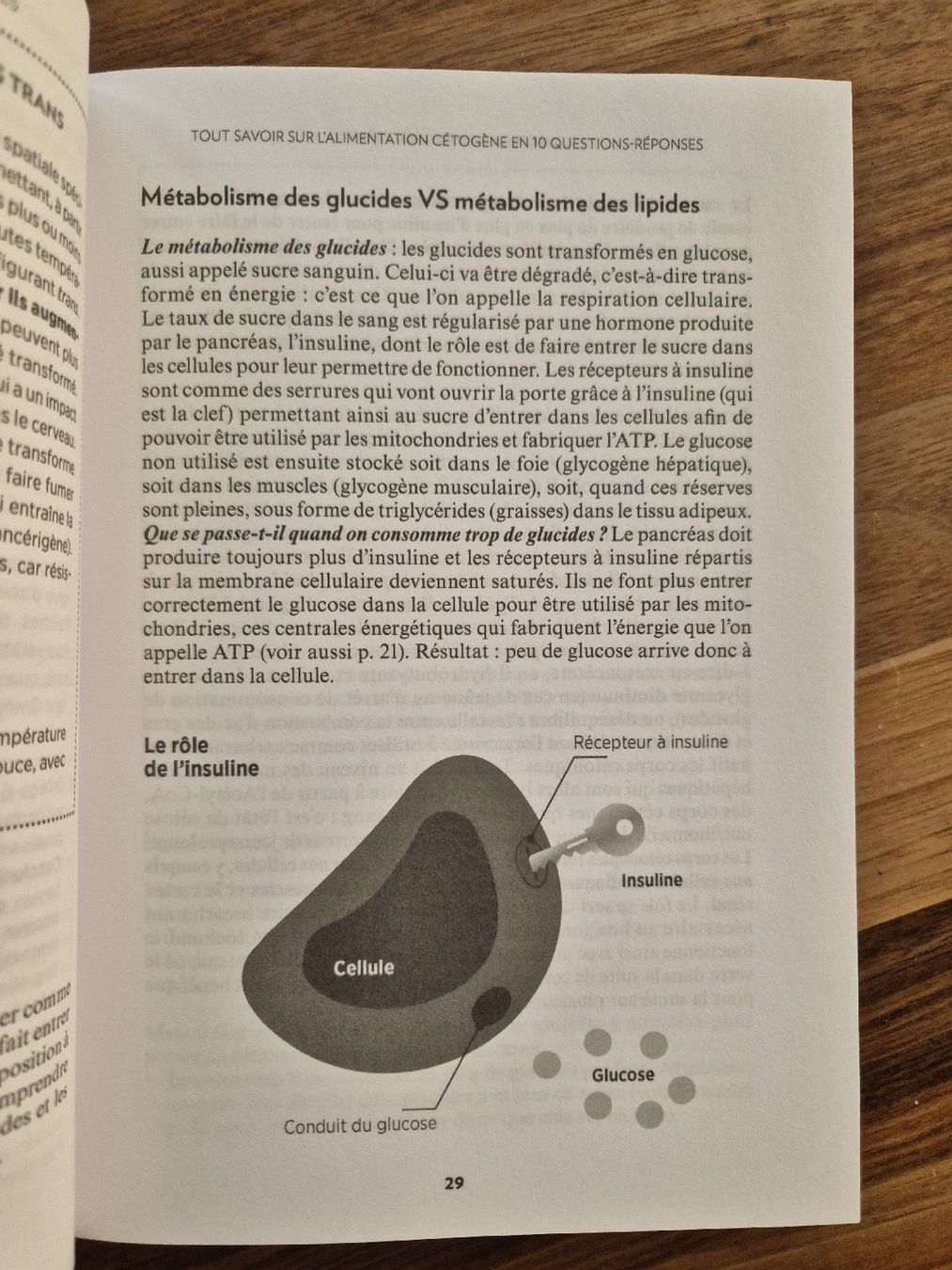 Libri: Livre Mes Programmes Cétogènes: Santé et Bien-Être – Usato da Domat/Ems venduto da ver_7q9b 6