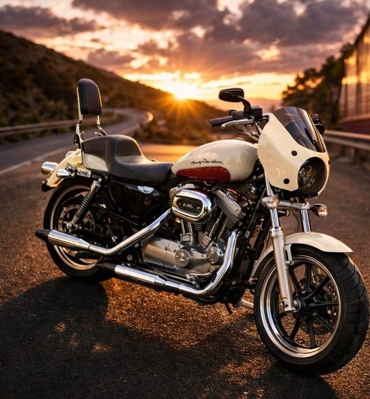 Chopper: HARLEY-DAVIDSON SuperLow – Usato da Romanshorn venduto da pick_up_now 1