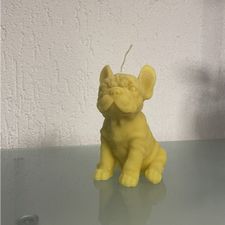 Profile image of aar_w8st