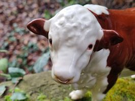 Beswick Englands