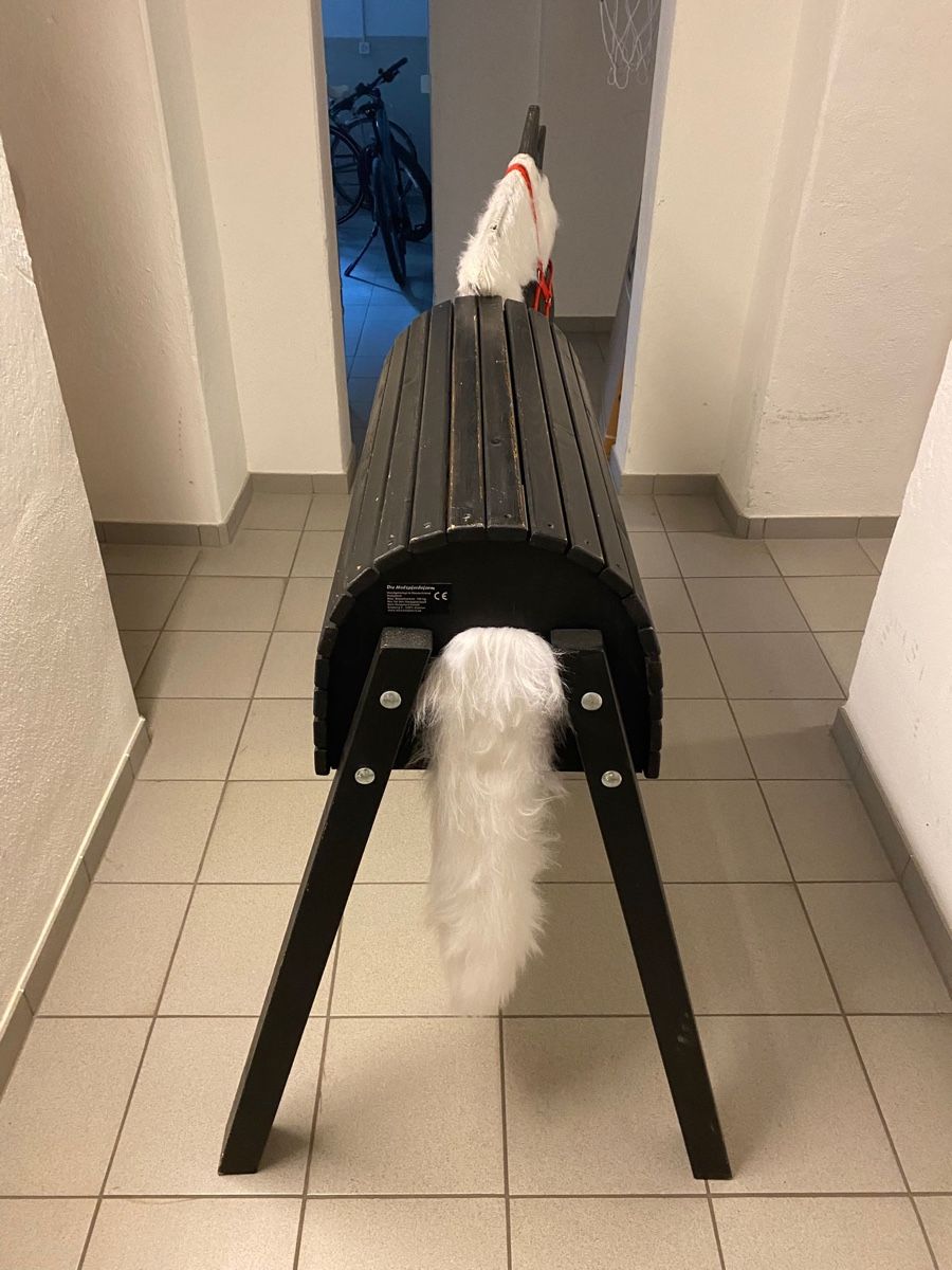 Giocattoli: Holzpferd für Kinder – Usato da Zürich venduto da baby0022 3