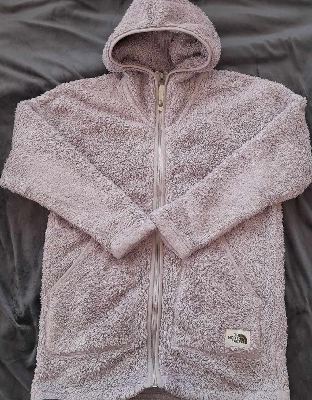 North Face Maglioni & Felpe: The North Face , polaire – Usato da Renens VD venduto da ser_j2fn