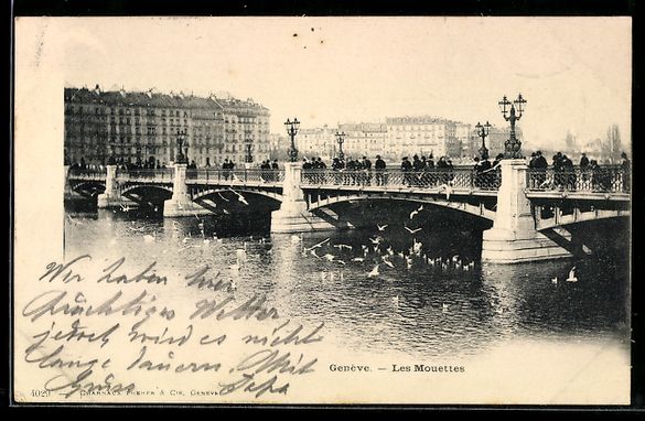 Cartoline postali: AK Genève, Les Mouettes – Usato da Berlin venduto da bartko-reher
