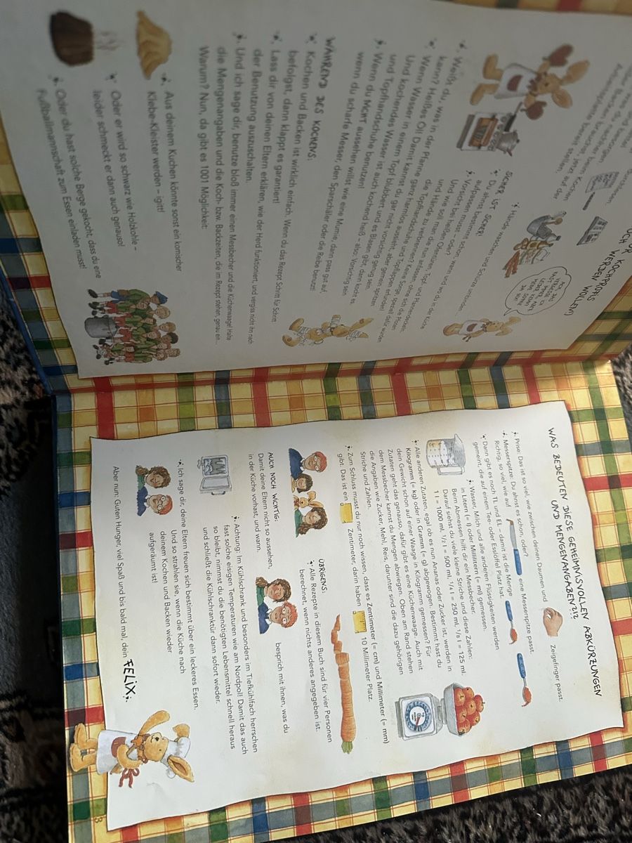Libri: FLSHENPOST von Felix – Usato da Uster venduto da bek_v2ct 2
