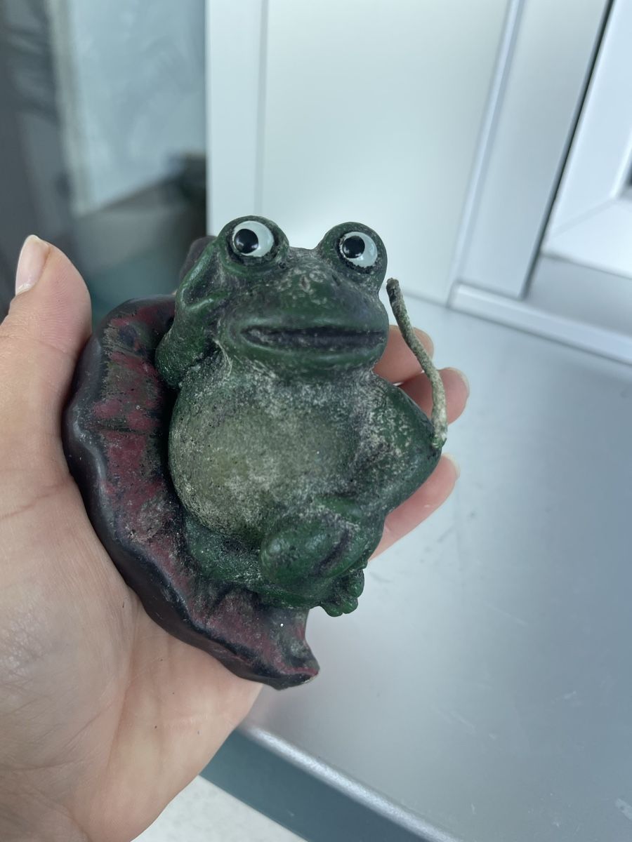 Toutes les décorations: Handmade Frog waxFigurine - deco 🐸 – Neuf (Voir description) à Wetzikon ZH par man_7mn7