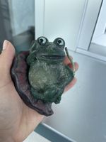 Handmade Frog waxFigurine - deco 🐸