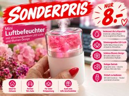 Mini Luftbefeuchter mit LED Licht Blumen Design - NEU!