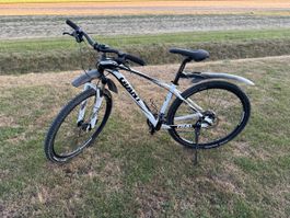 Giant Mountainbike 29 Zoll