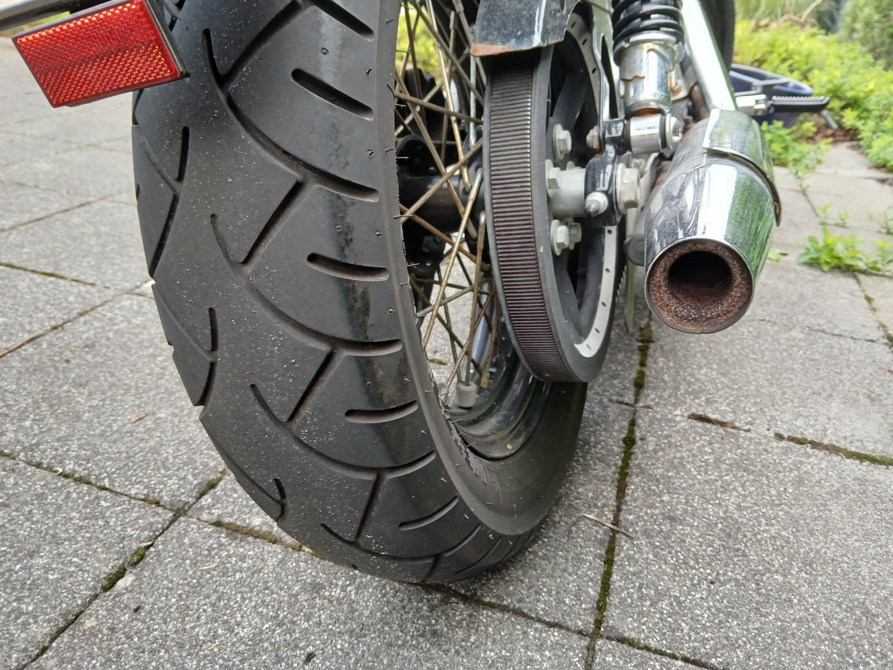 Harley-Davidson Chopper: Harley Davidson XL1200N – Usato da Birsfelden venduto da fab_sc2j 7