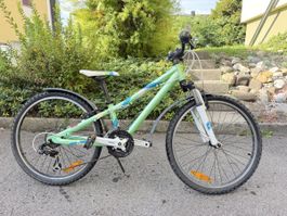 Scott Mountainbike grün weiss gebraucht guter Zustand
